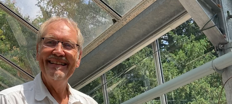 Tödliche Tannenzapfen: Frank Telöken vom botanischen Garten