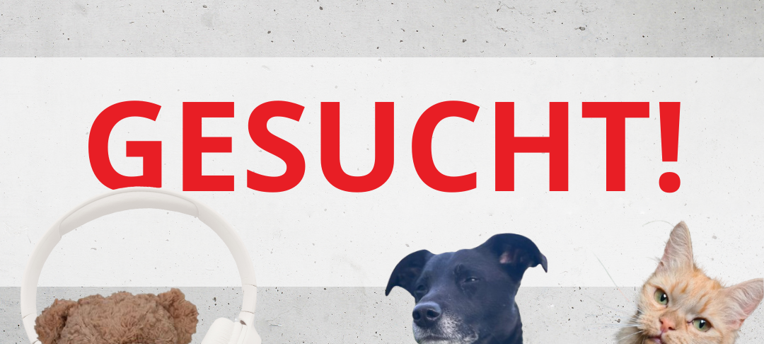 grüne Damenuhr gesucht
