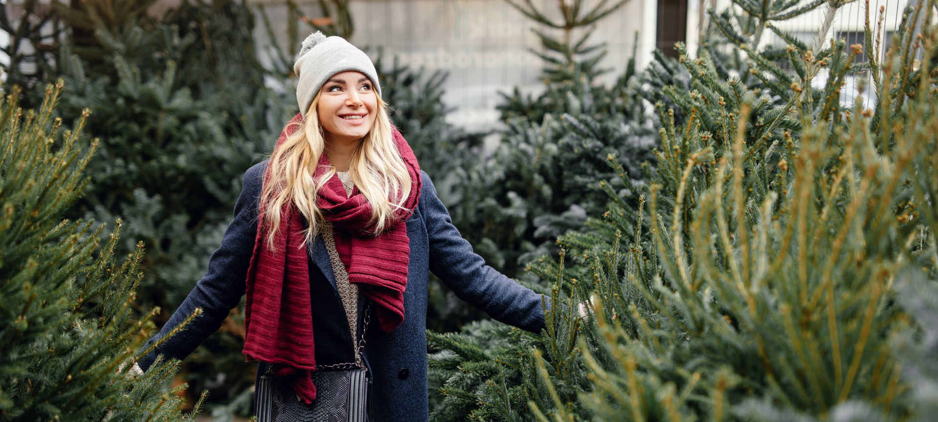 Weihnachtsbaum: Lieber echt oder doch besser künstlich?
