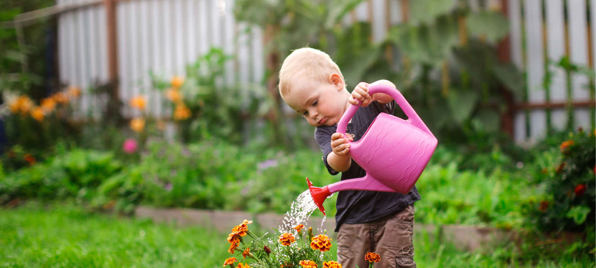 Gartenarbeit im Frühling: kleiner Junge mit Gießkanne