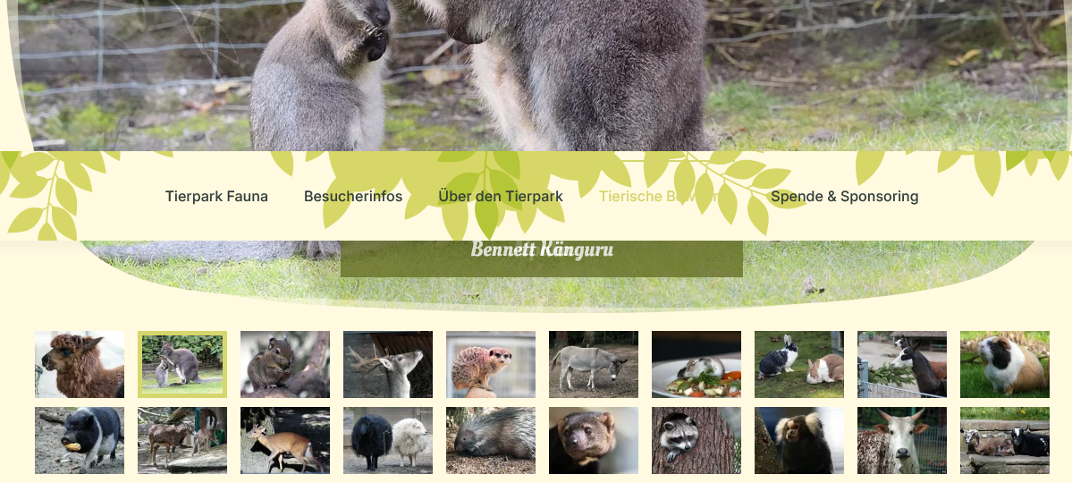 Wo ihr Tierbabys beobachten könnt