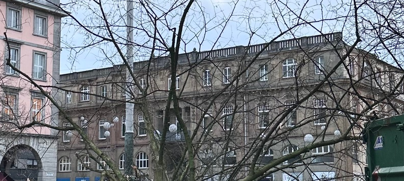 Stadt prüft große Bäume am Rathaus