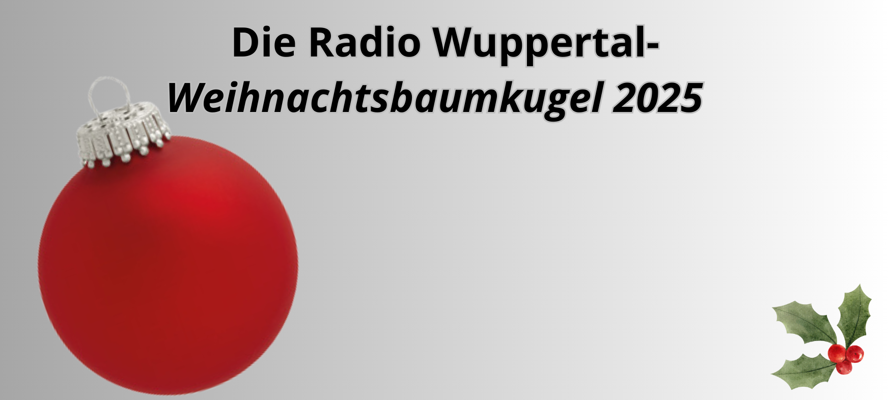 Die Weihnachtsbaumkugel 2025