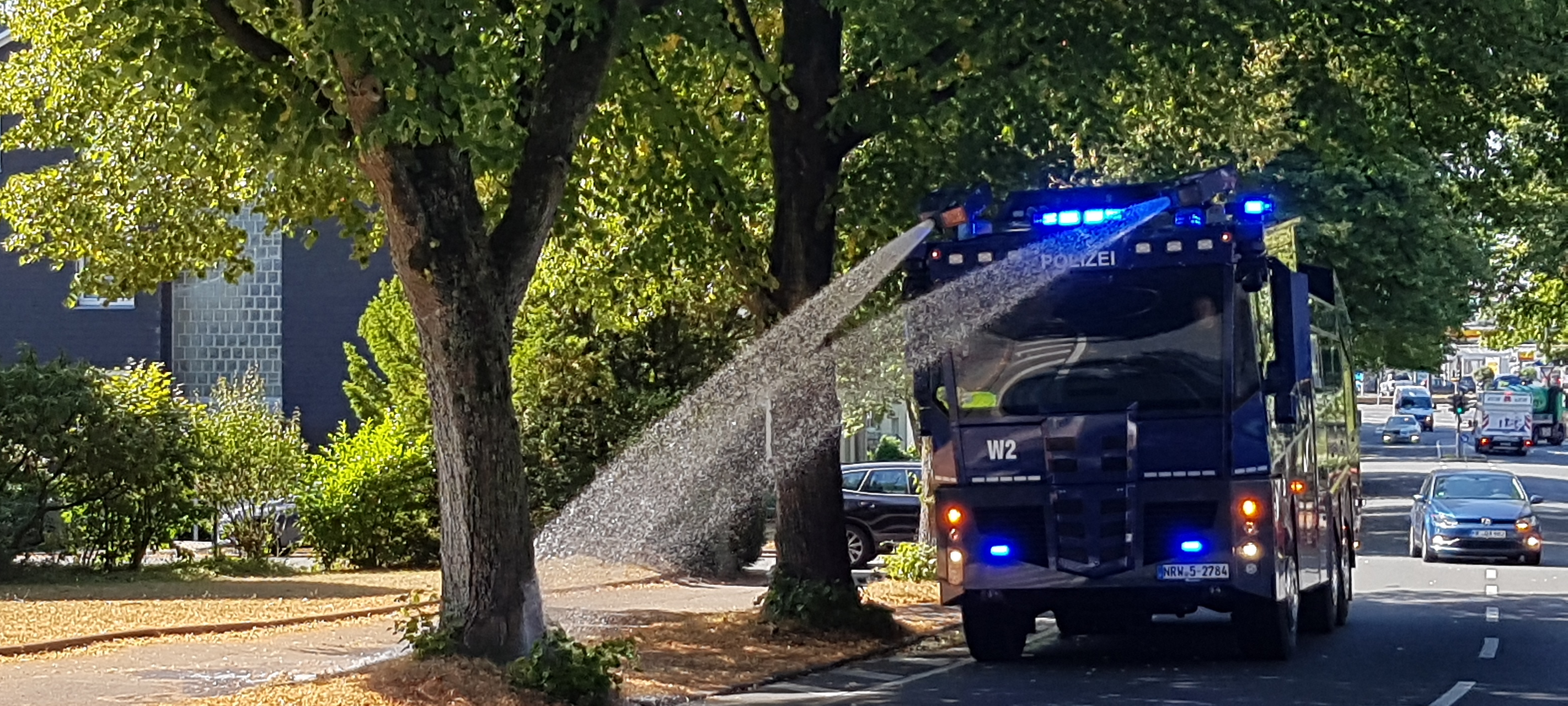 Stadt wässert immer mehr Bäume