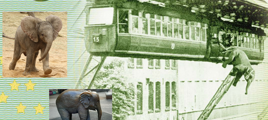 Elefant Tuffi sprang aus der Schwebebahn - vor 70 Jahren